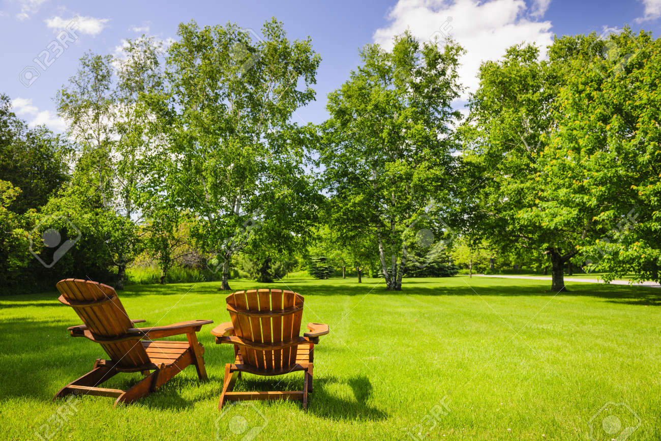 Lawn Care