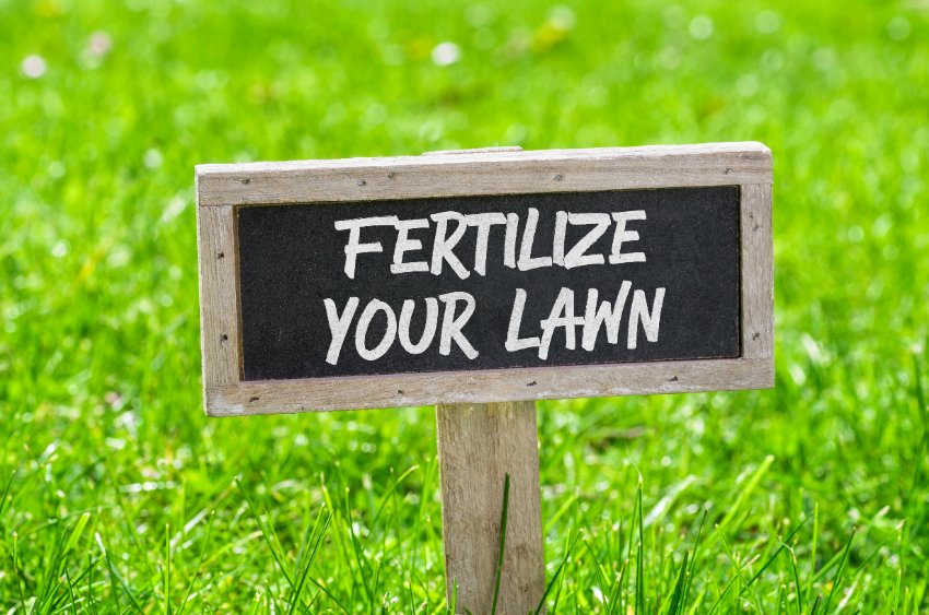 We Offer Fertilizing Services